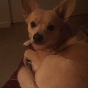 Meet your Posher, Kelley